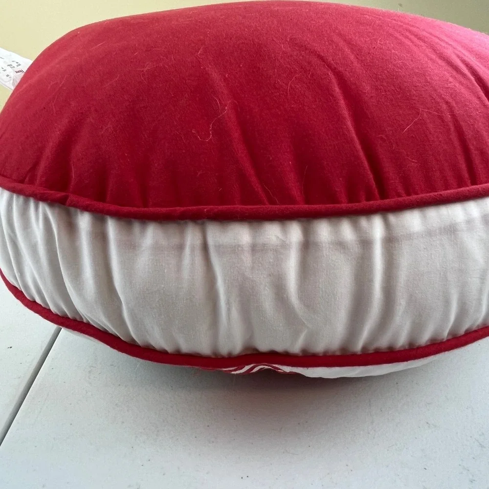 Boy Zone Baseball Decorative Pillow Red and White 17 Inch New